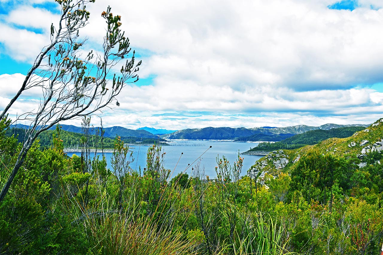 Paysage Tasmanie en Australie Lac Pedder Franlin Gordon Parc National