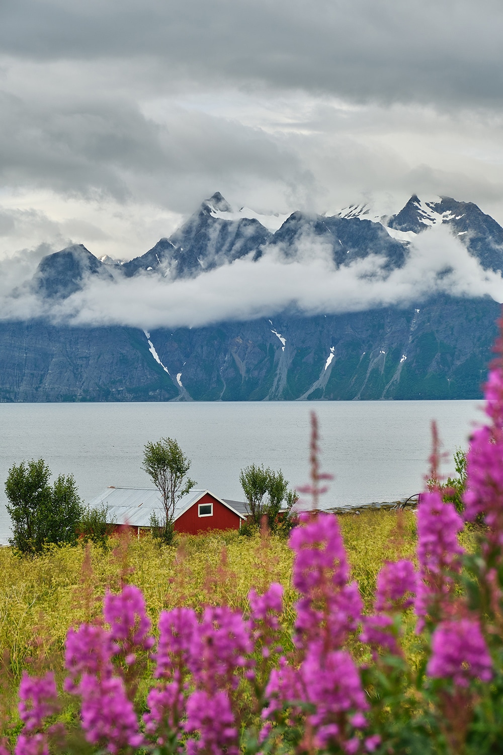 Alpes de lyngen paysage Norvège voyage