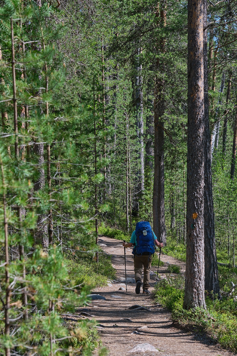 Sac à dos de trek homme pour bivouac