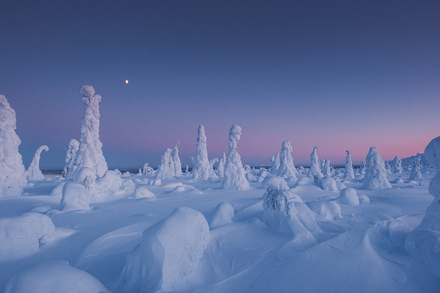 Grand froid en Laponie en hiver