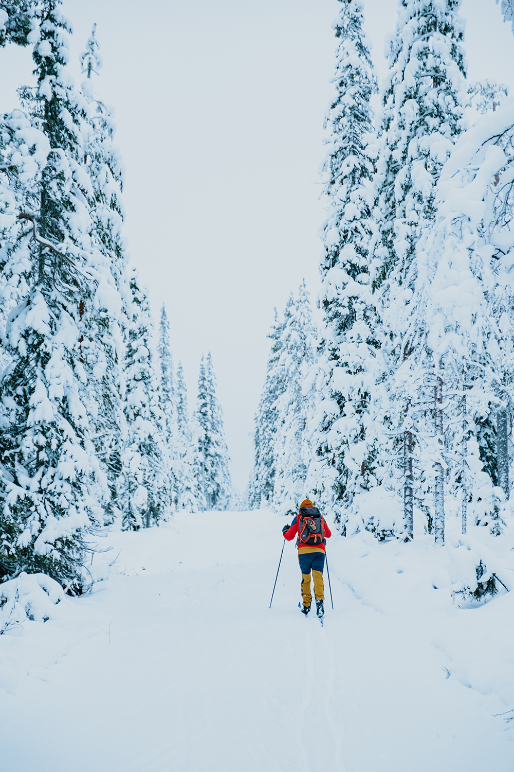 Ski nordique par grand froid en Laponie