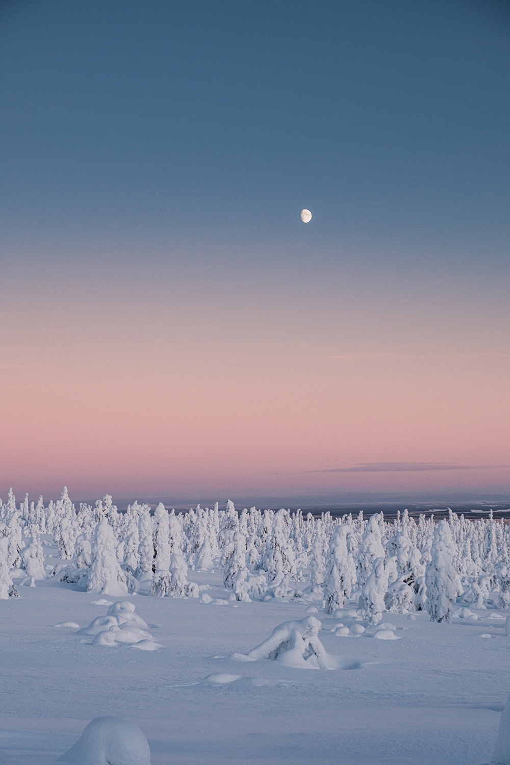 Voyage en Finlande découvrir la Laponie