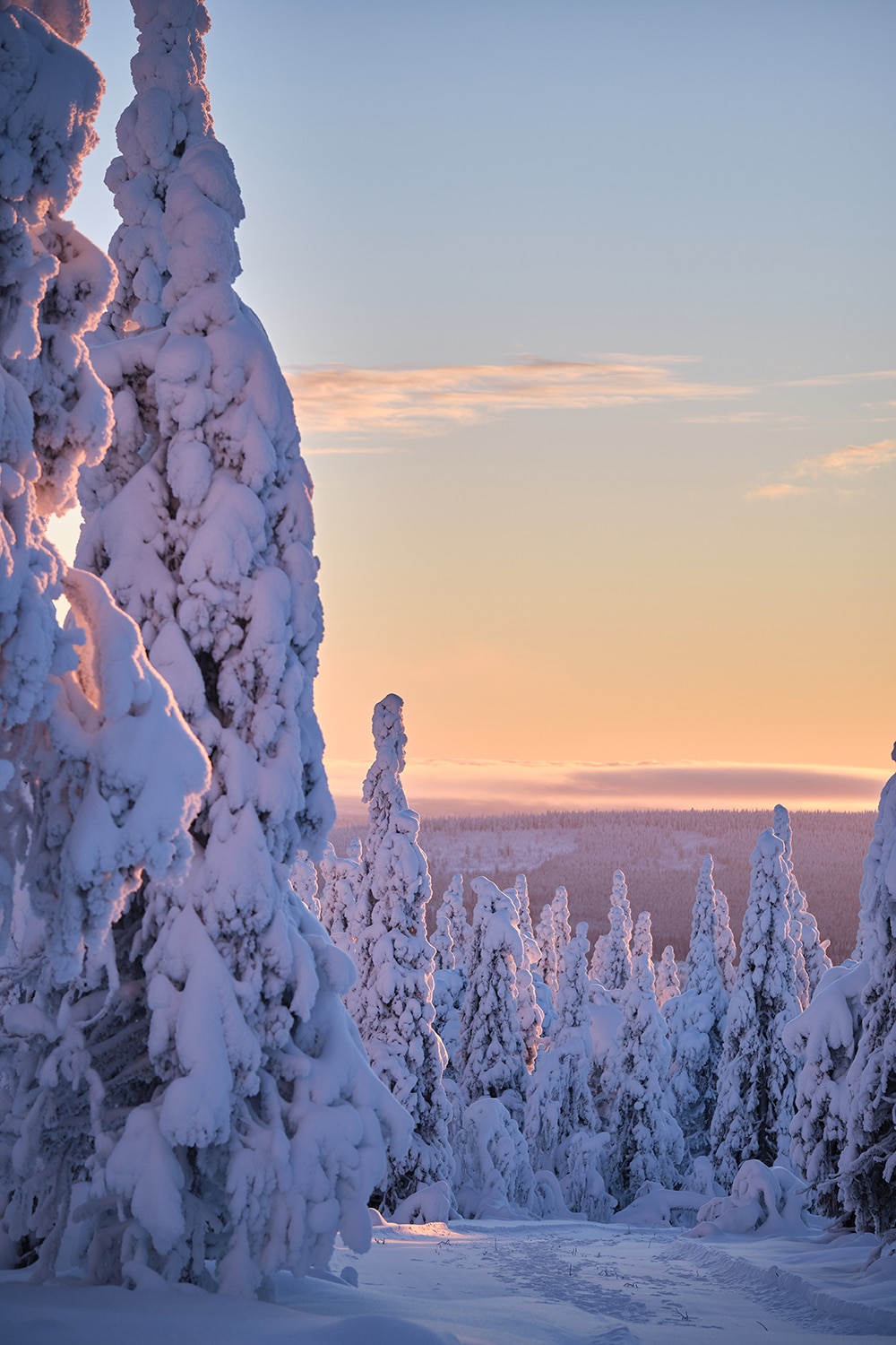 Laponie finlandaise en hiver