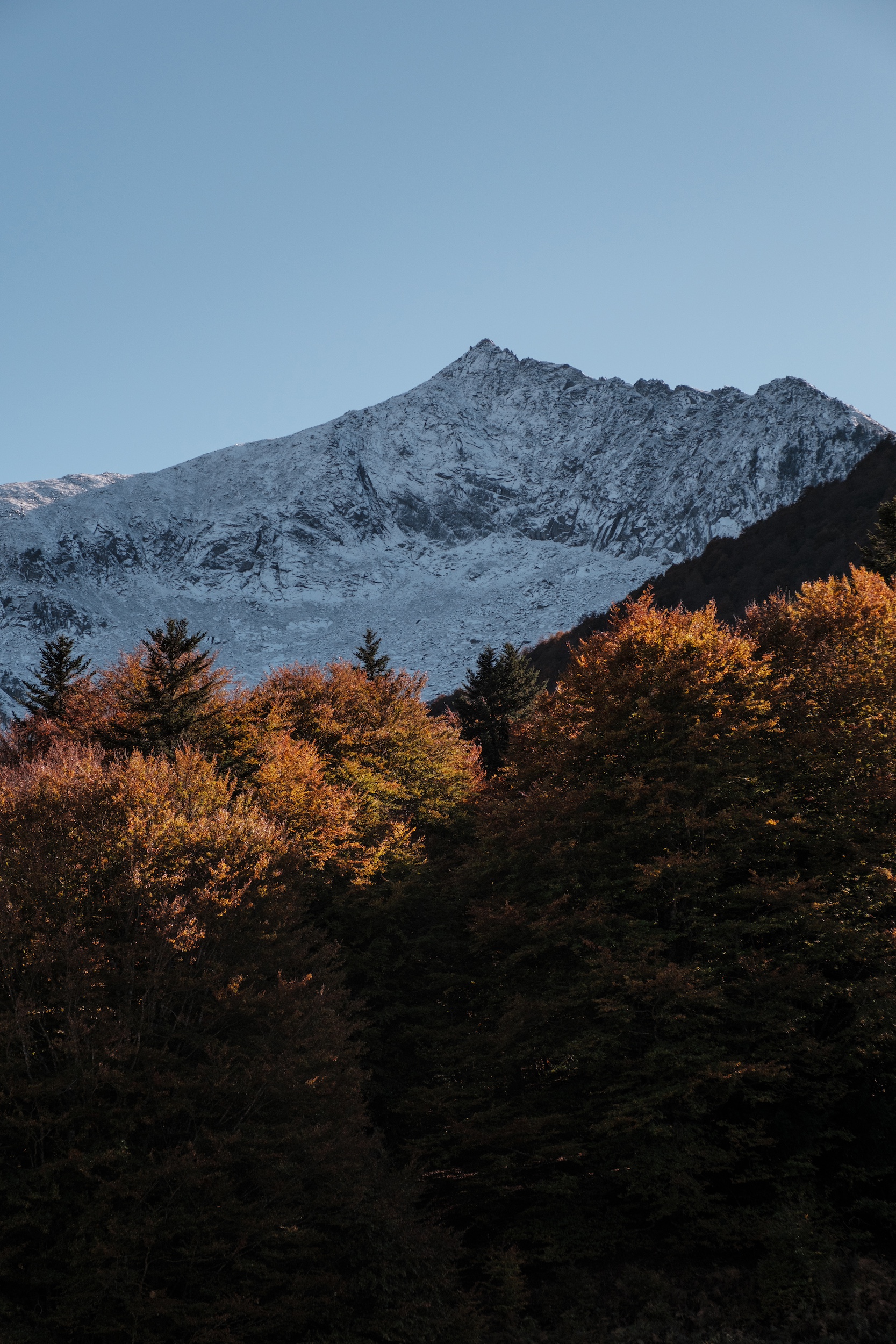 Couleurs d'automne en Ariège