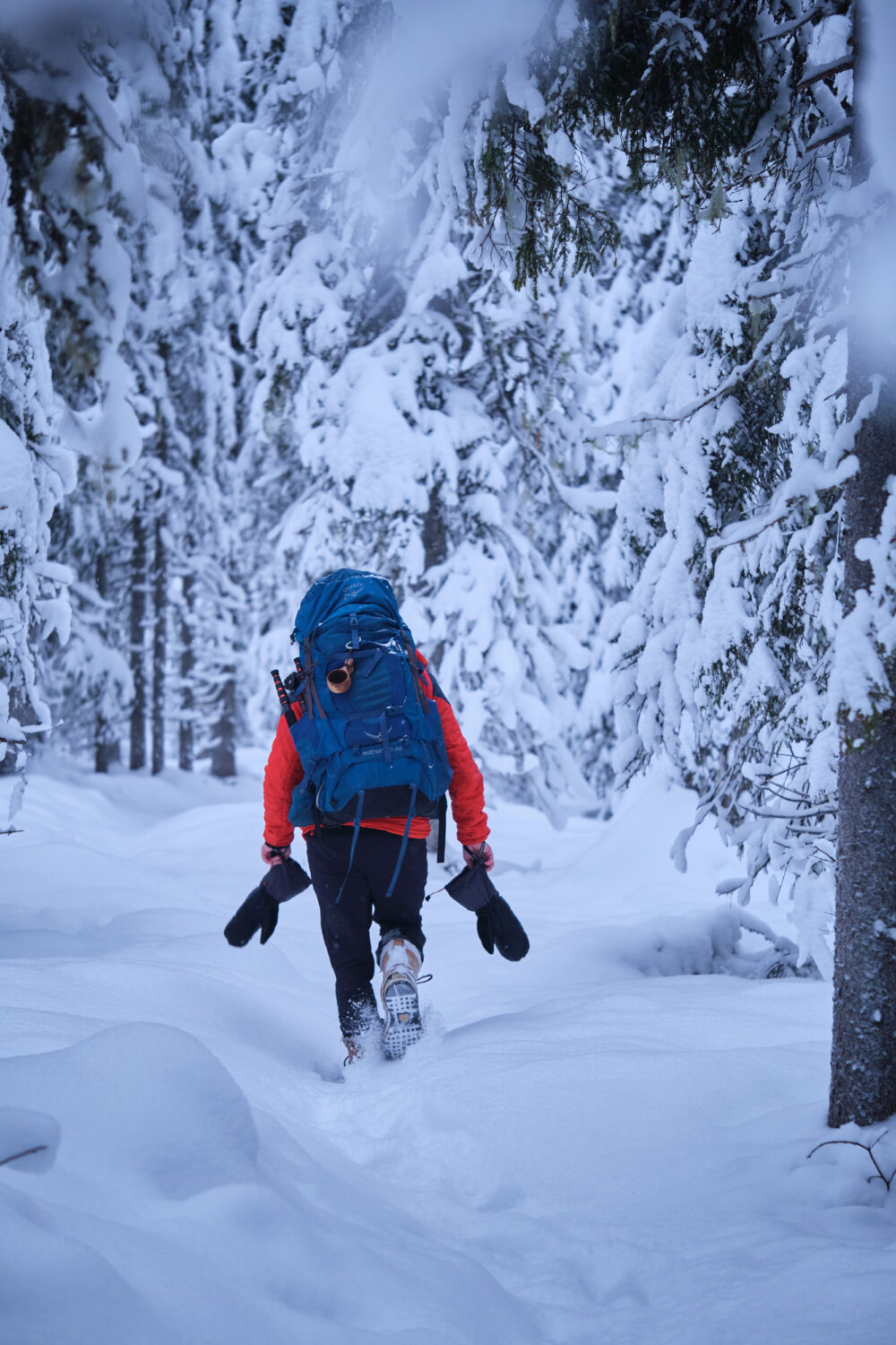 Sac à dos bivouac trekking homme